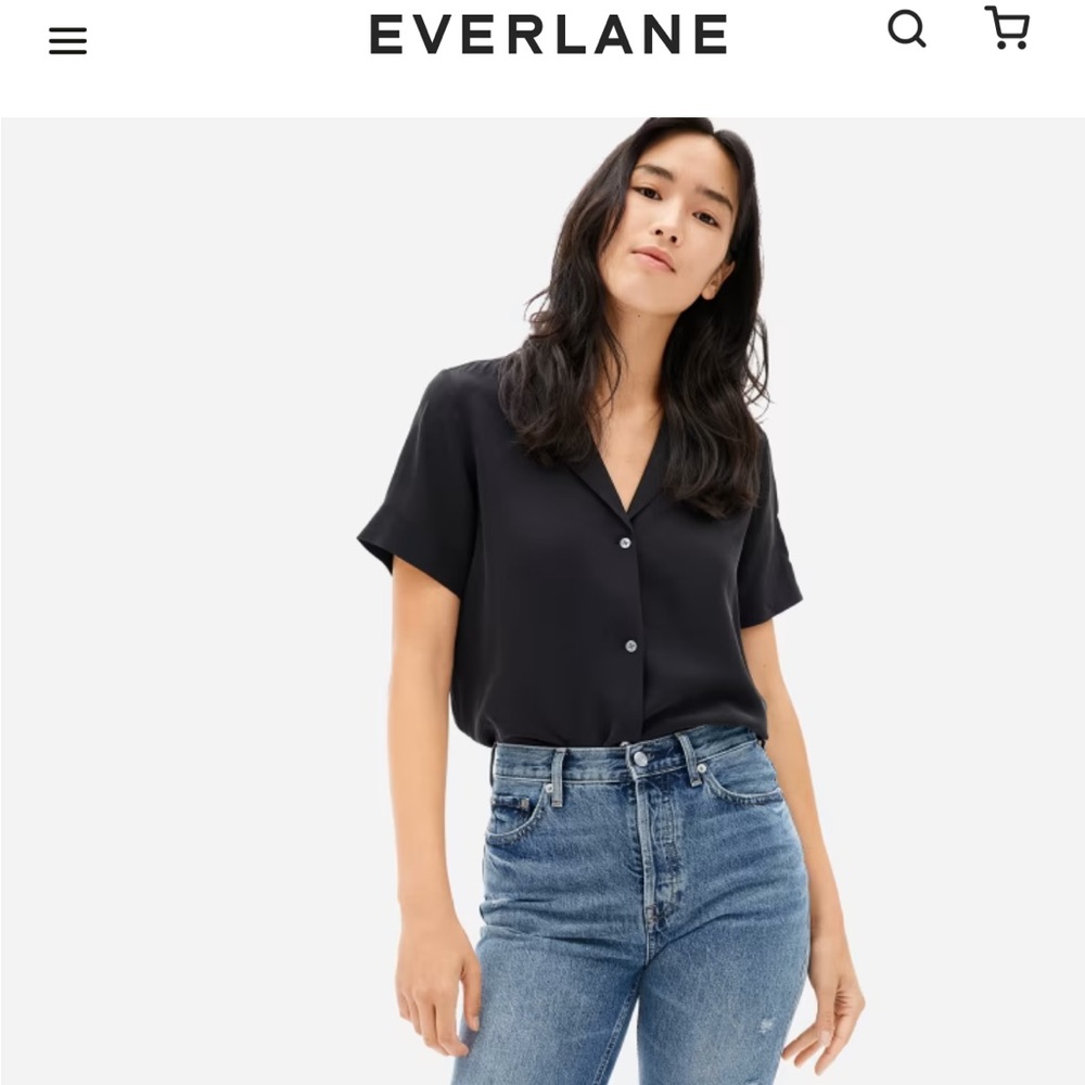 Everlane Silk Notch shirt
